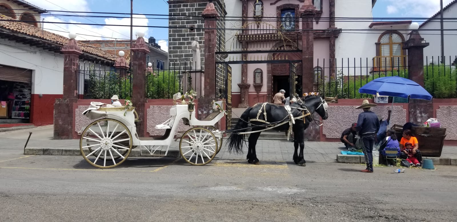 Cuidado de caballos